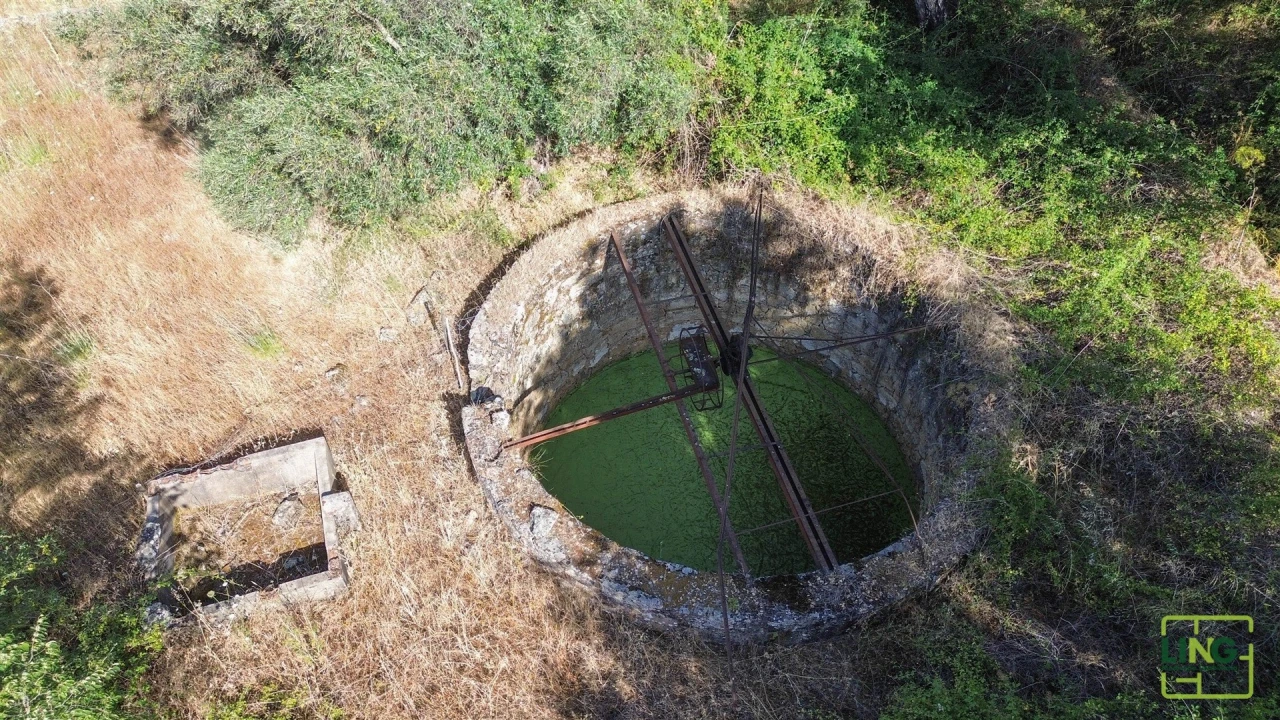 Terreno Agricola ou Rústico para Venda em Aranhas Foto 23