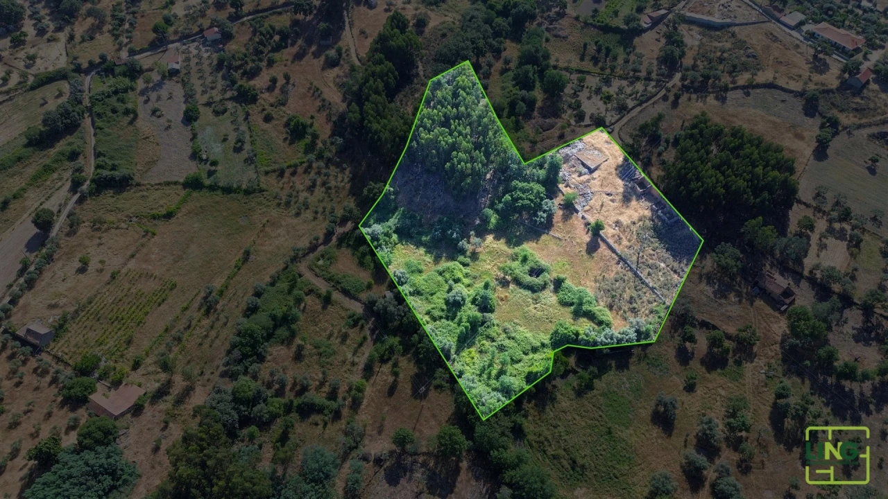 Terreno Agricola ou Rústico para Venda em Aranhas Foto 10