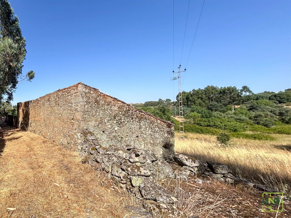 Terreno Agricola ou Rústico para Venda em Aranhas Foto 42