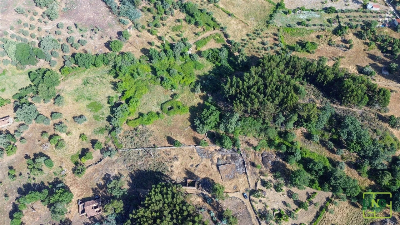Terreno Agricola ou Rústico para Venda em Aranhas Foto 5