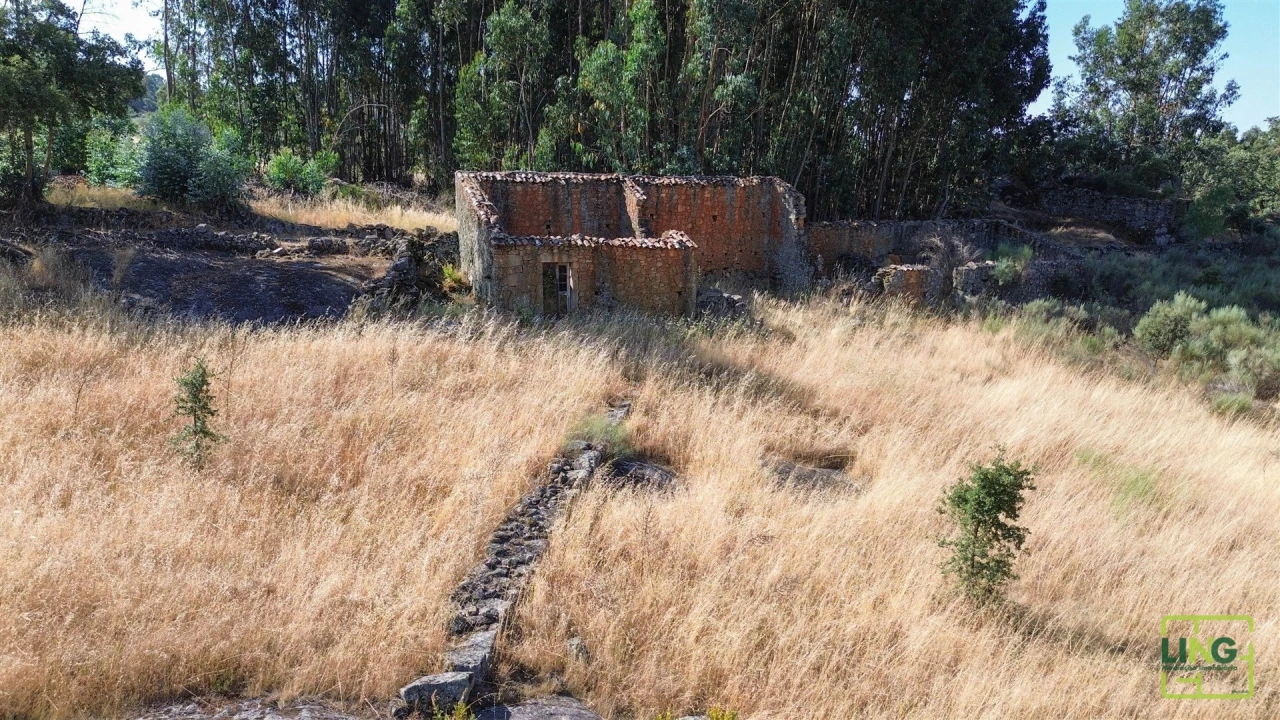 Terreno Agricola ou Rústico para Venda em Aranhas Foto 4