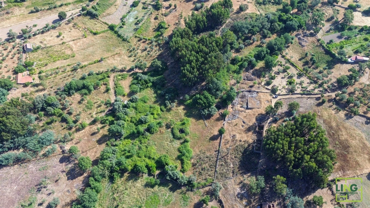 Terreno Agricola ou Rústico para Venda em Aranhas Foto 7