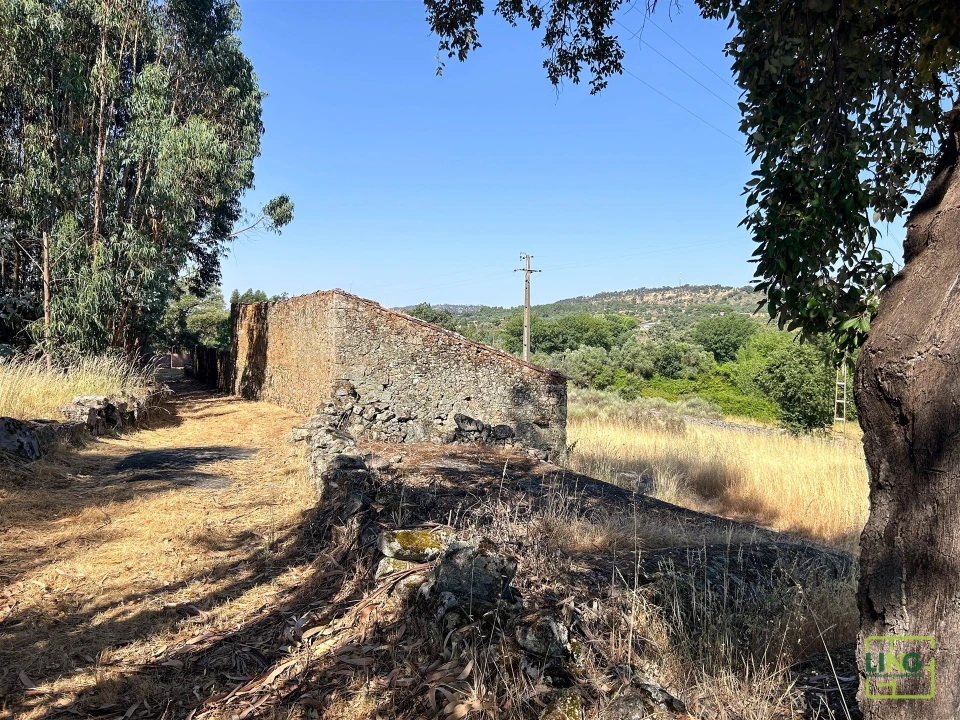 Terreno Agricola ou Rústico para Venda em Aranhas Foto 34