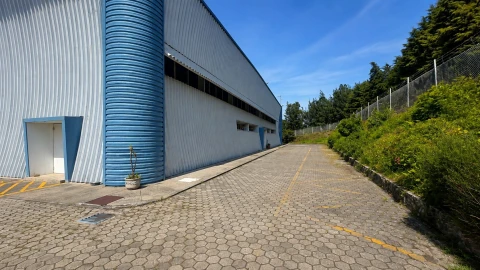 Negócio para Venda em Raiva, Pedorido e Paraíso