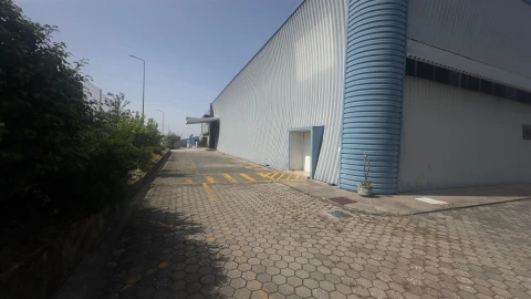 Negócio para Venda em Raiva, Pedorido e Paraíso