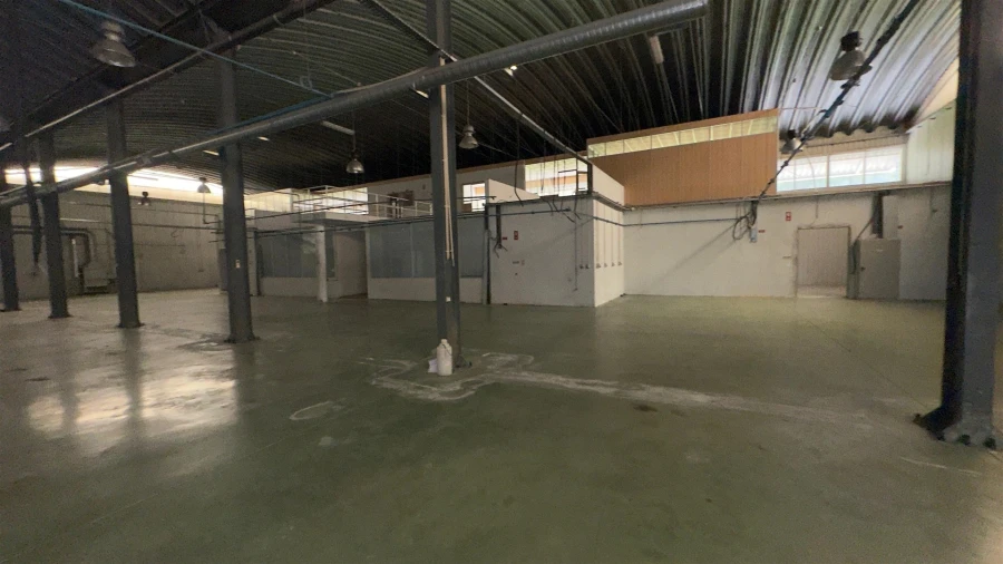 Negócio para Venda em Raiva, Pedorido e Paraíso Foto 69