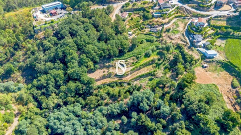 Terreno para Venda em Aboadela, Sanche e Várzea