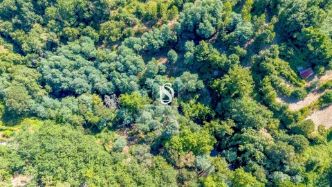 Terreno para Venda em Aboadela, Sanche e Várzea