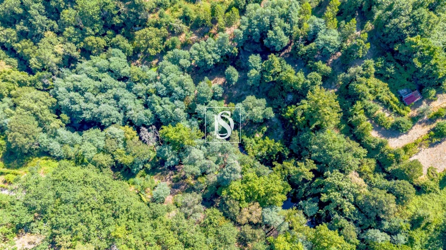 Terreno para Venda em Aboadela, Sanche e Várzea Foto 13