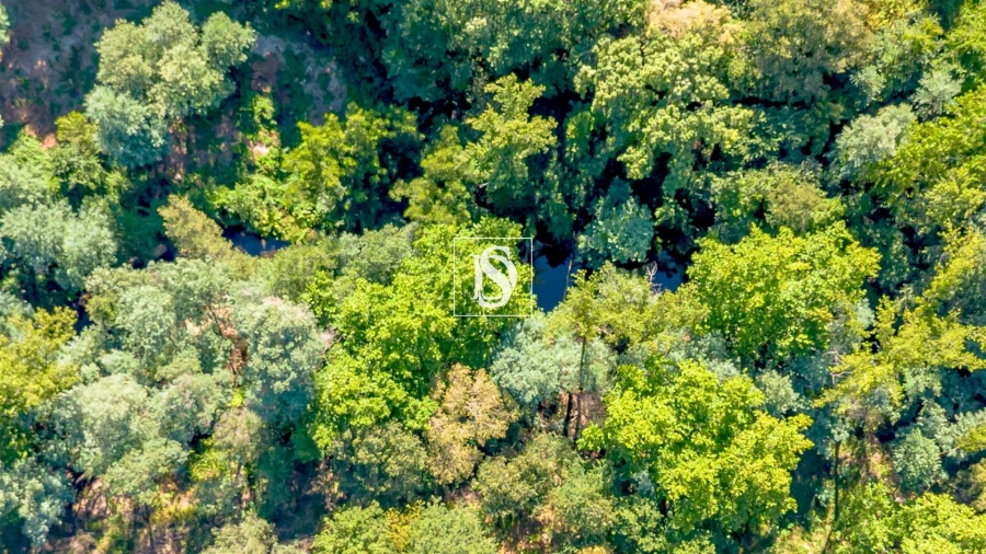 Terreno para Venda em Aboadela, Sanche e Várzea Foto 14