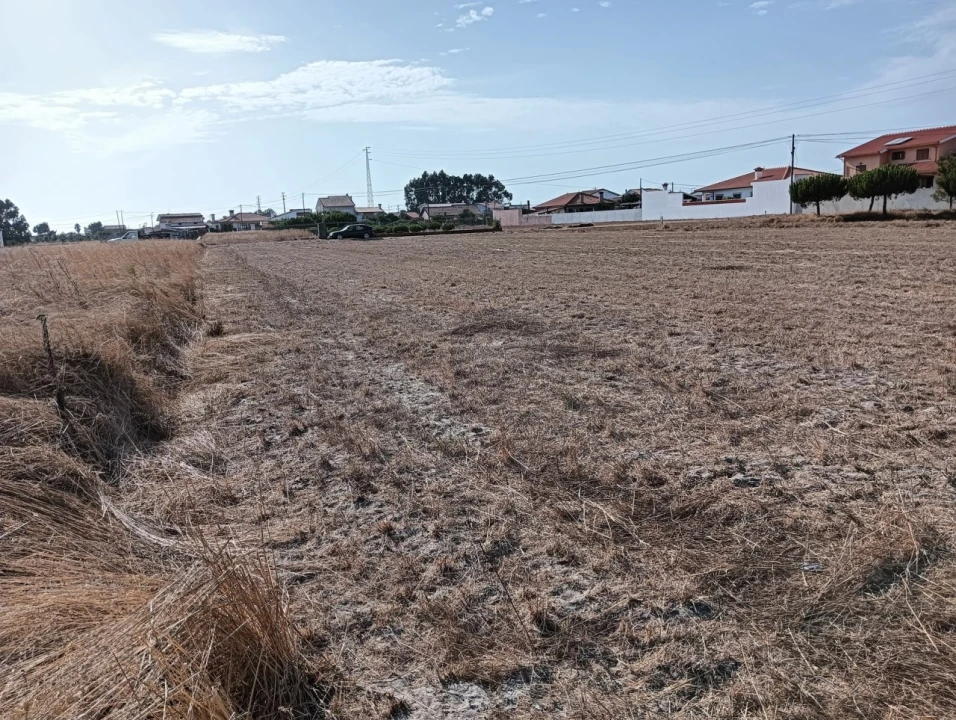 Terreno para Venda em Gafanha da Encarnação Foto 3