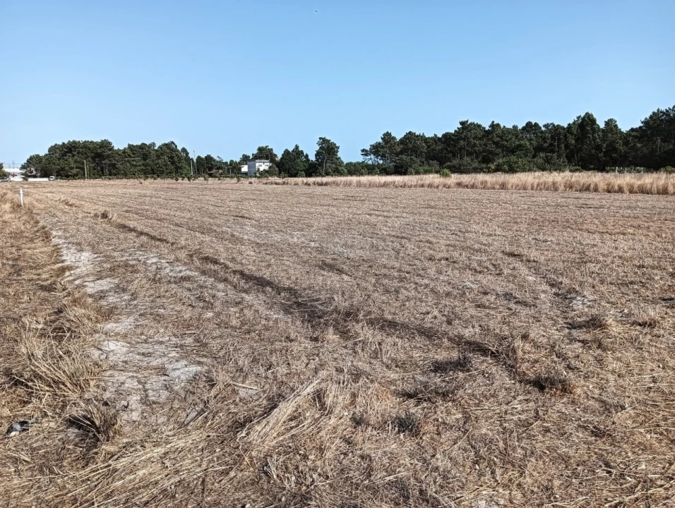 Terreno para Venda em Gafanha da Encarnação Foto 2