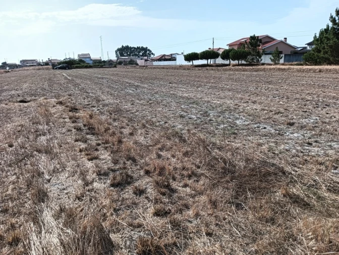 Terreno para Venda em Gafanha da Encarnação Foto 5