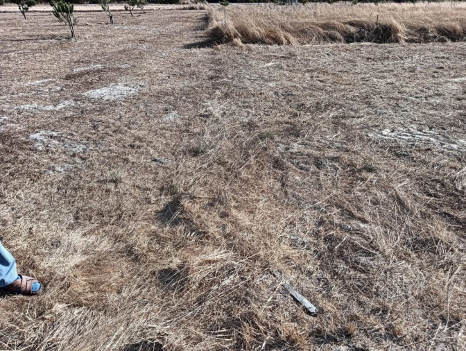 Terreno para Venda em Gafanha da Encarnação Foto 8