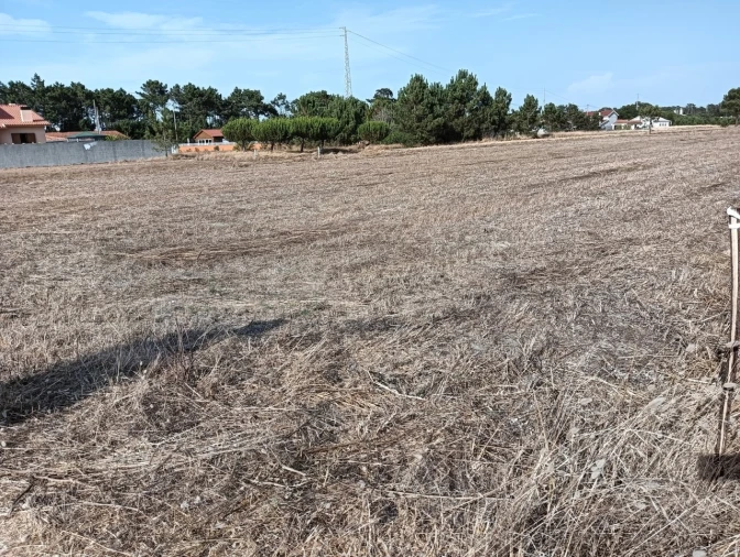 Terreno para Venda em Gafanha da Encarnação Foto 6