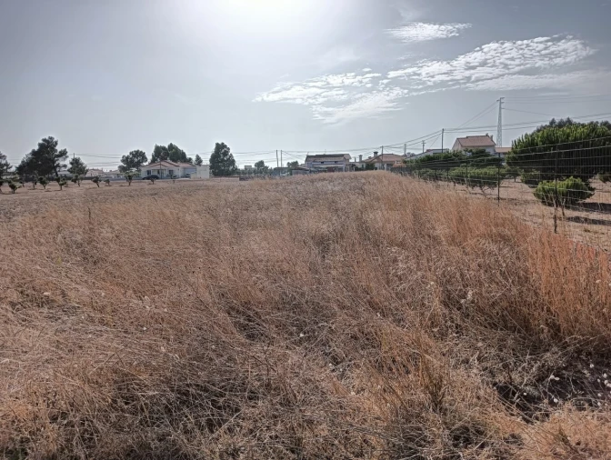 Terreno para Venda em Gafanha da Encarnação Foto 9