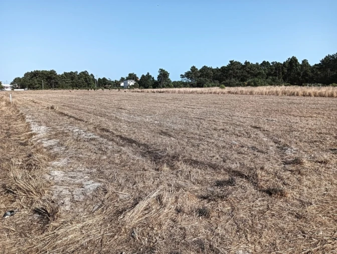 Terreno para Venda em Gafanha da Encarnação Foto 2