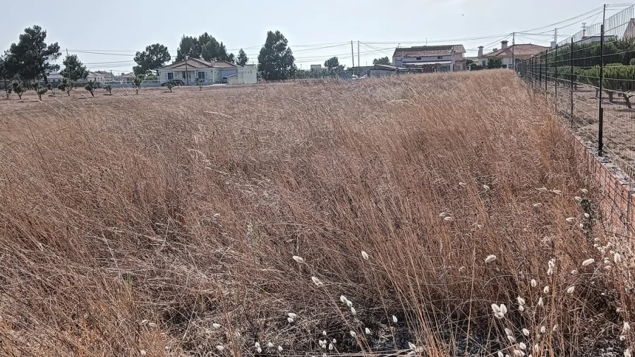 Terreno para Venda em Gafanha da Encarnação
