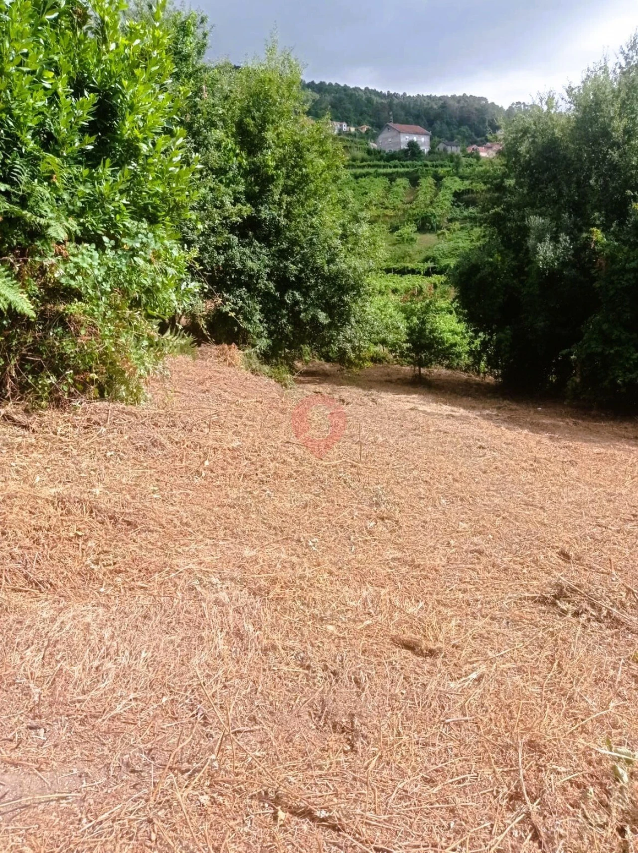 Moradia T3 para Venda em Riba de Mouro Foto 9