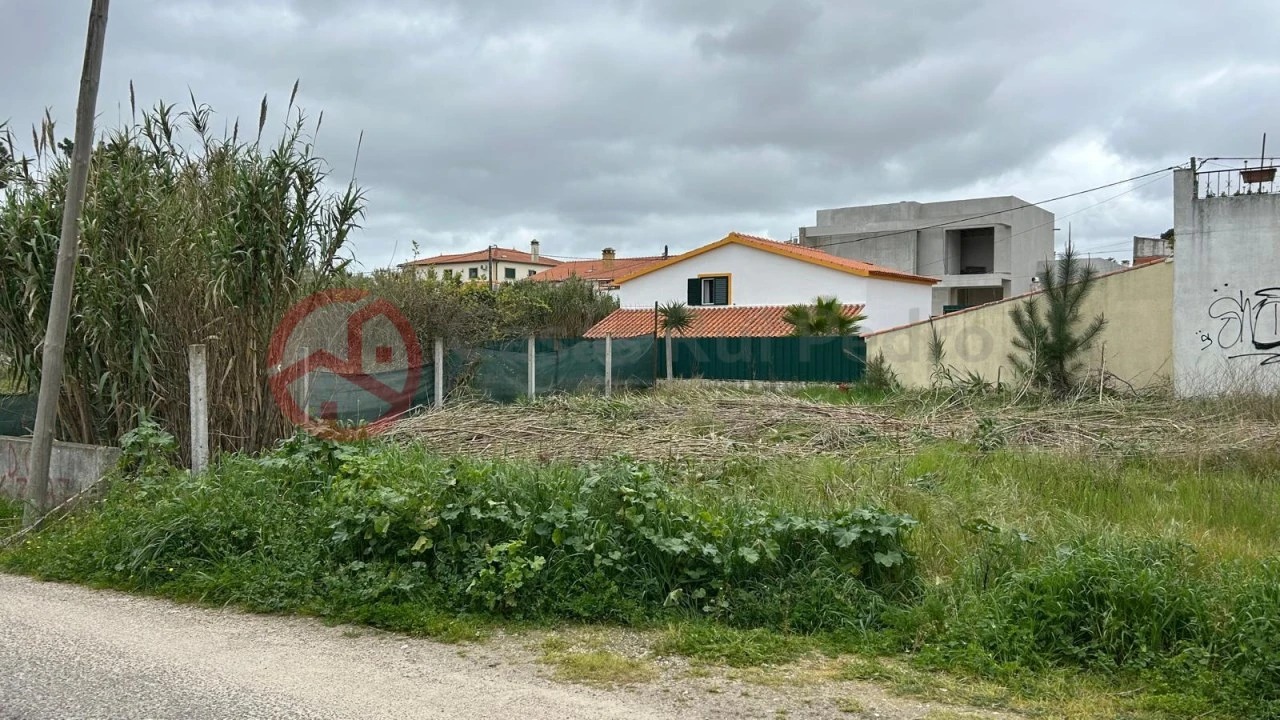 Terreno para Venda em Azeitão (São Lourenço e São Simão) Foto 4
