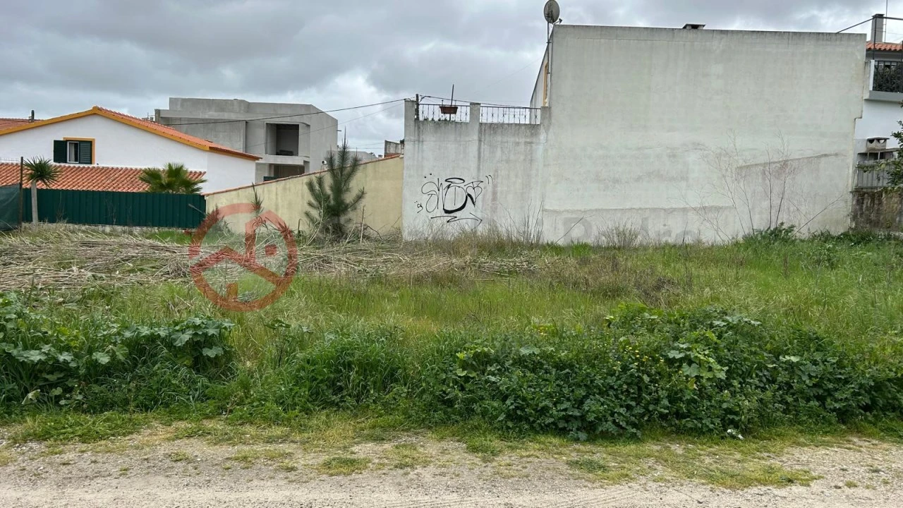 Terreno para Venda em Azeitão (São Lourenço e São Simão) Foto 5