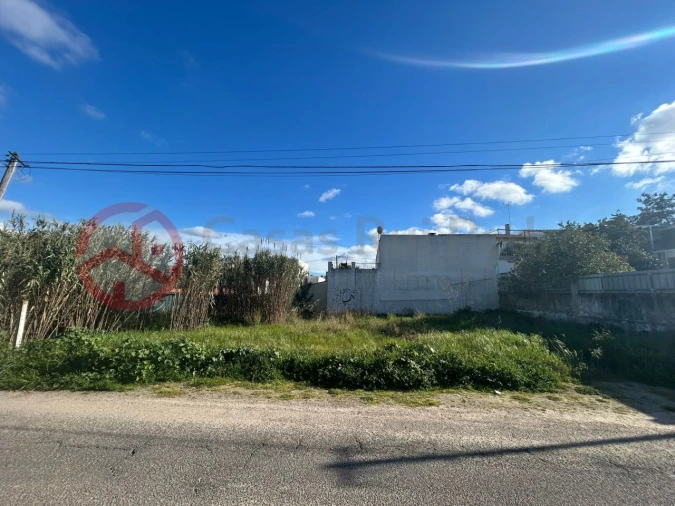 Terreno para Venda em Azeitão (São Lourenço e São Simão) Foto 3