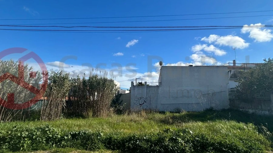 Terreno para Venda em Azeitão (São Lourenço e São Simão)