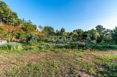 Moradia T4 para Venda em Távora (Santa Maria e São Vicente)