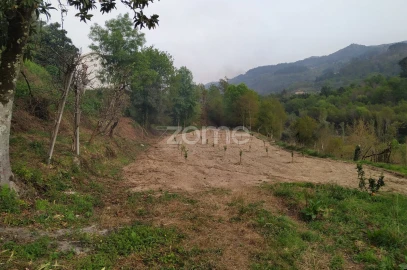 Moradia T2 para Venda em Gondoriz
