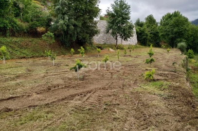 Moradia T2 para Venda em Gondoriz