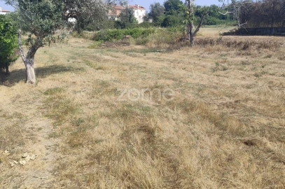 Terreno para Venda em Mangualde, Mesquitela e Cunha Alta