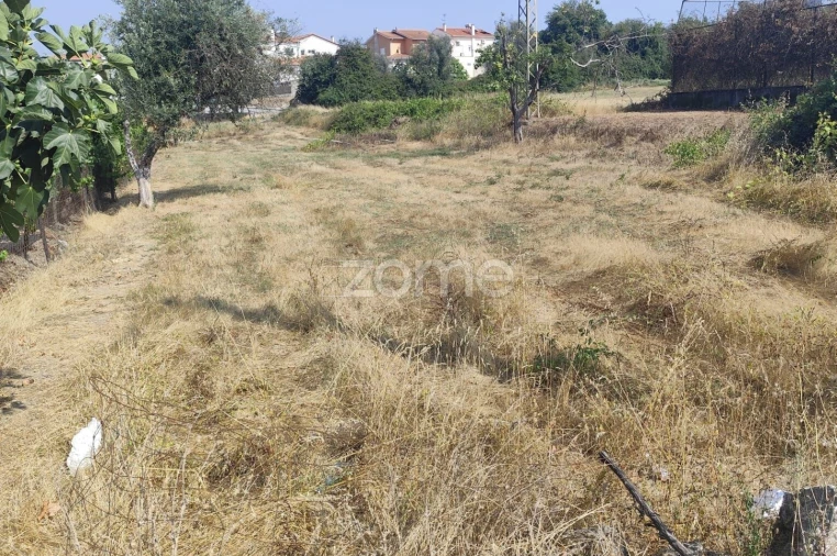 Terreno para Venda em Mangualde, Mesquitela e Cunha Alta Foto 4