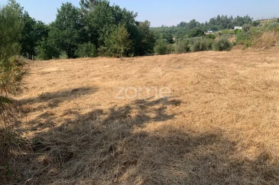 Terreno para Venda em Santiago de Cassurrães e Póvoa de Cervães