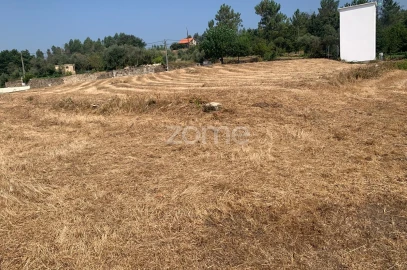 Terreno para Venda em Santiago de Cassurrães e Póvoa de Cervães