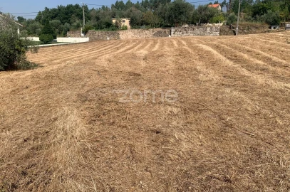 Terreno para Venda em Santiago de Cassurrães e Póvoa de Cervães