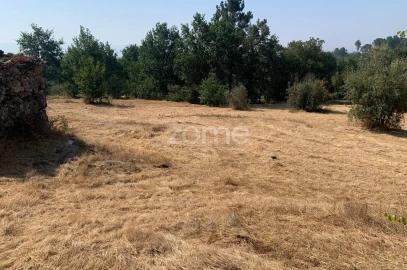 Terreno para Venda em Santiago de Cassurrães e Póvoa de Cervães