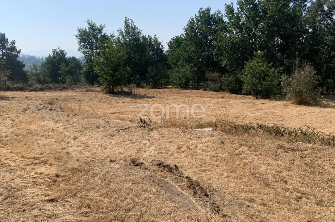 Terreno para Venda em Santiago de Cassurrães e Póvoa de Cervães Foto 8