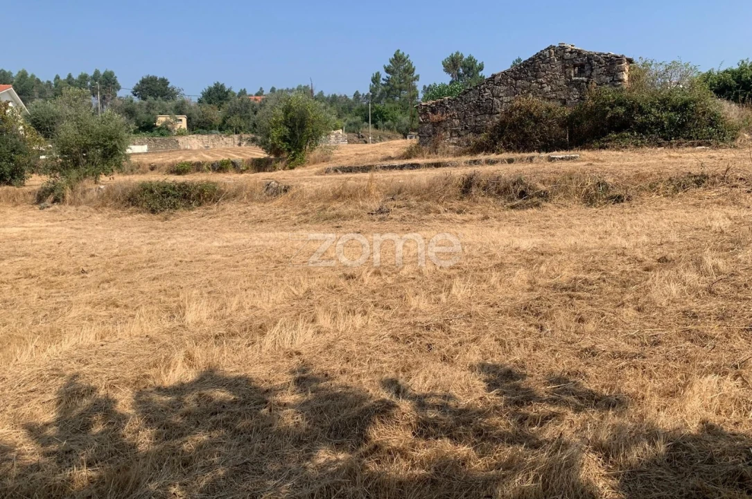 Terreno para Venda em Santiago de Cassurrães e Póvoa de Cervães Foto 5