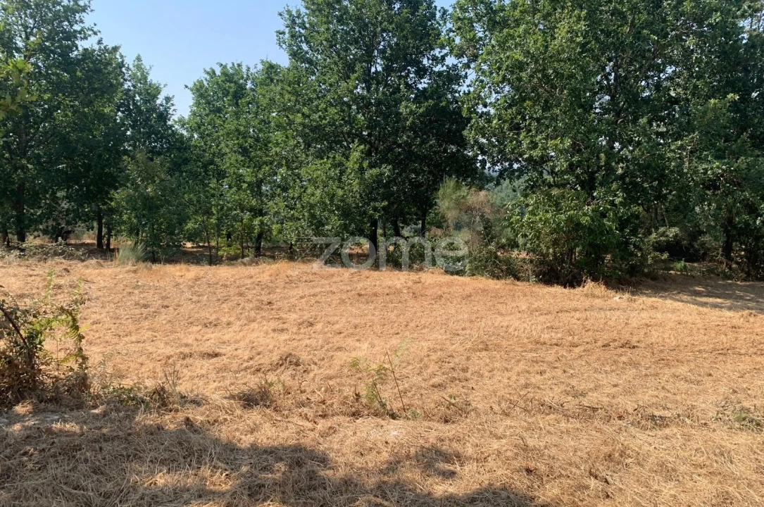 Terreno para Venda em Santiago de Cassurrães e Póvoa de Cervães Foto 6