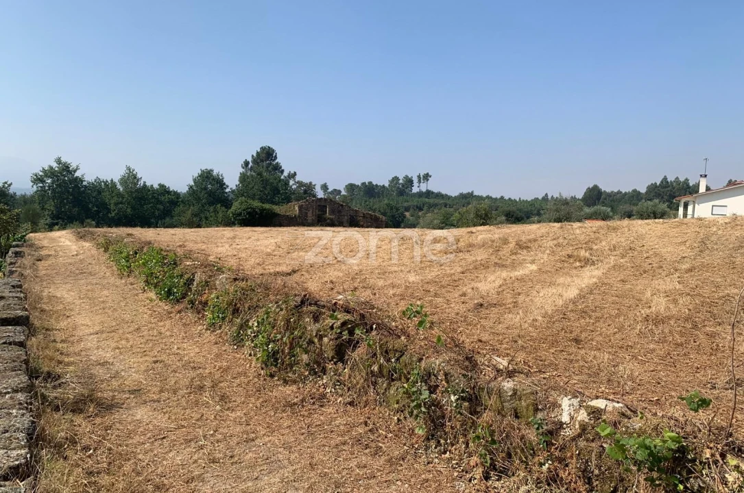 Terreno para Venda em Santiago de Cassurrães e Póvoa de Cervães Foto 3