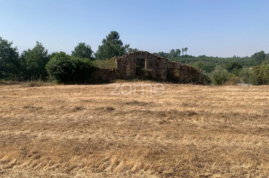 Terreno para Venda em Santiago de Cassurrães e Póvoa de Cervães Foto 1
