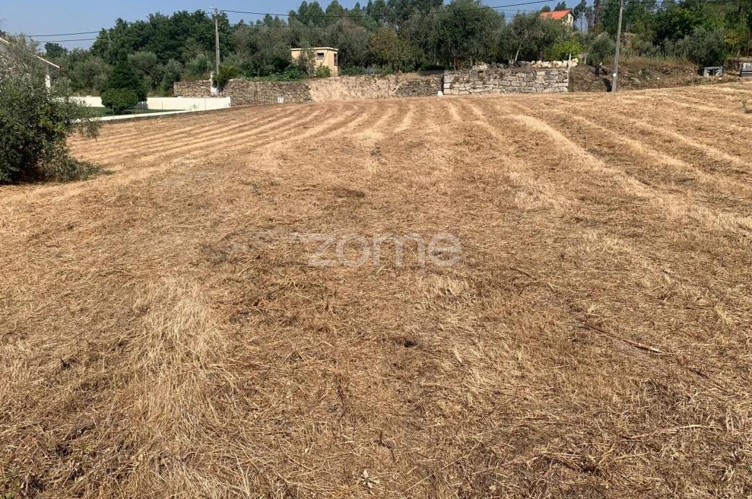 Terreno para Venda em Santiago de Cassurrães e Póvoa de Cervães Foto 9