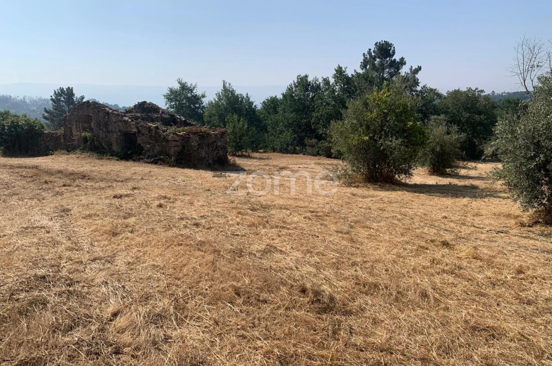 Terreno para Venda em Santiago de Cassurrães e Póvoa de Cervães Foto 2
