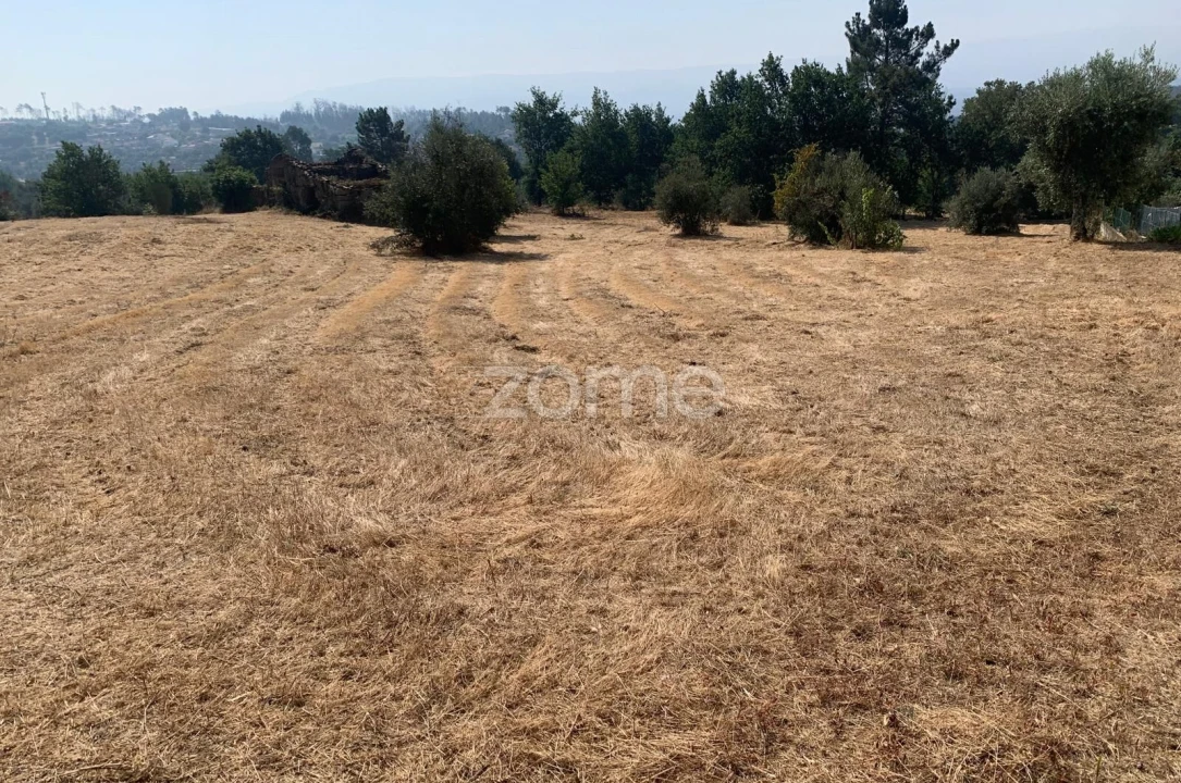 Terreno para Venda em Santiago de Cassurrães e Póvoa de Cervães Foto 4