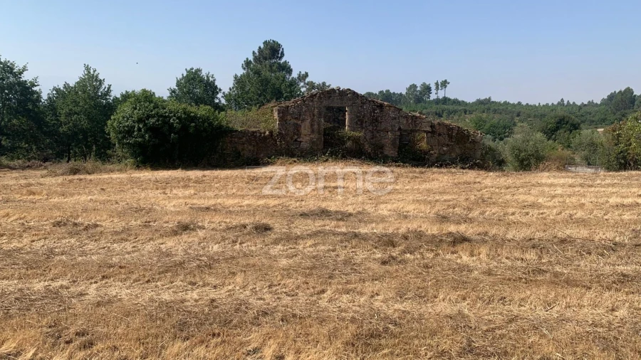 Terreno para Venda em Santiago de Cassurrães e Póvoa de Cervães