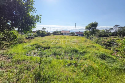 Terreno para Venda em Madalena