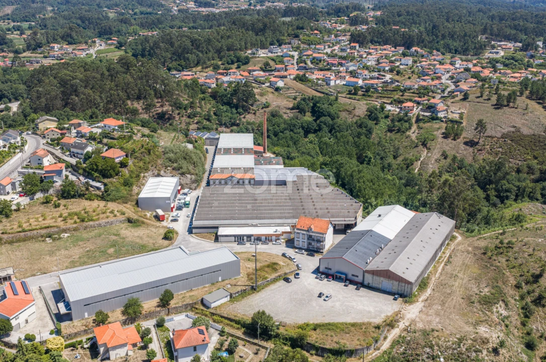 Terreno Comércio / Armazém para Venda em Silvares (São Martinho) Foto 12