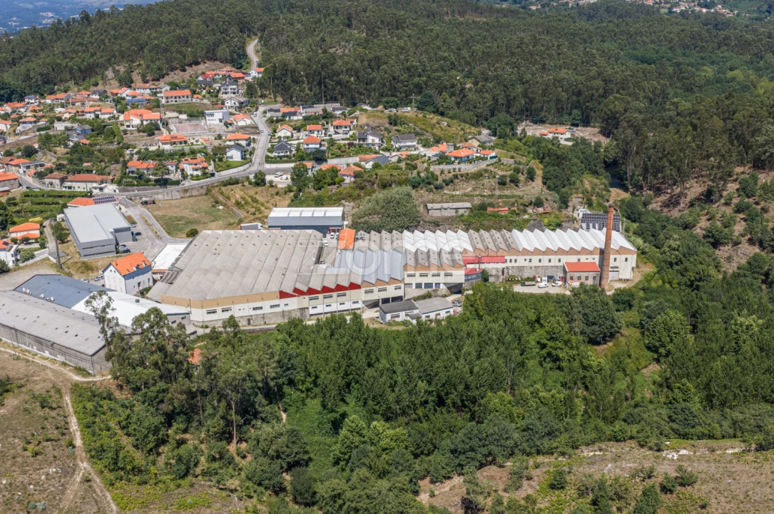 Terreno Comércio / Armazém para Venda em Silvares (São Martinho) Foto 13