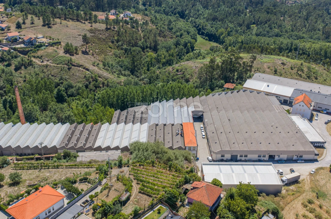 Terreno Comércio / Armazém para Venda em Silvares (São Martinho) Foto 14