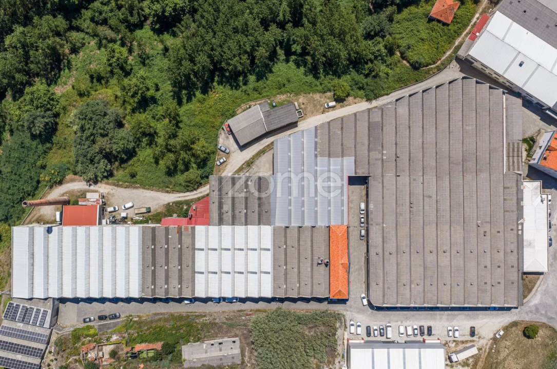 Terreno Comércio / Armazém para Venda em Silvares (São Martinho) Foto 16